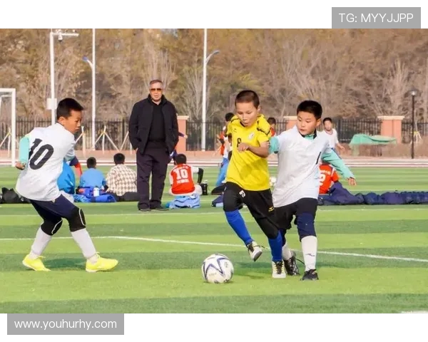 绿茵逐梦激情碰撞世界豪强共谱足球荣耀盛宴