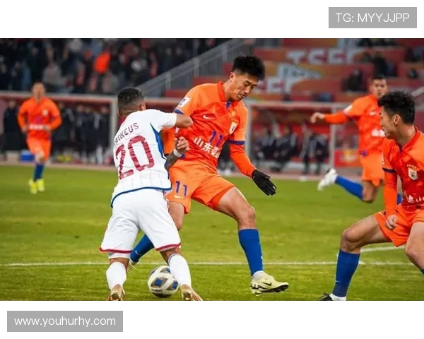 南京排球队逆风翻盘的背后故事与战术解析