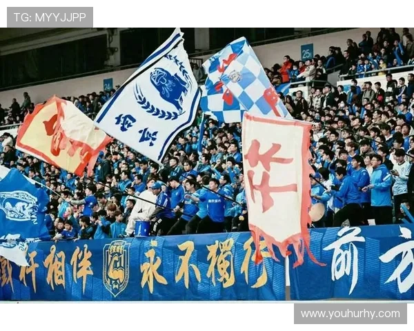 南京足球队意识争议引发热议球迷与专家各执己见探讨未来发展方向