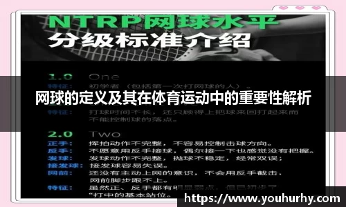 网球的定义及其在体育运动中的重要性解析